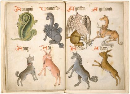 Bestiario delle emozioni